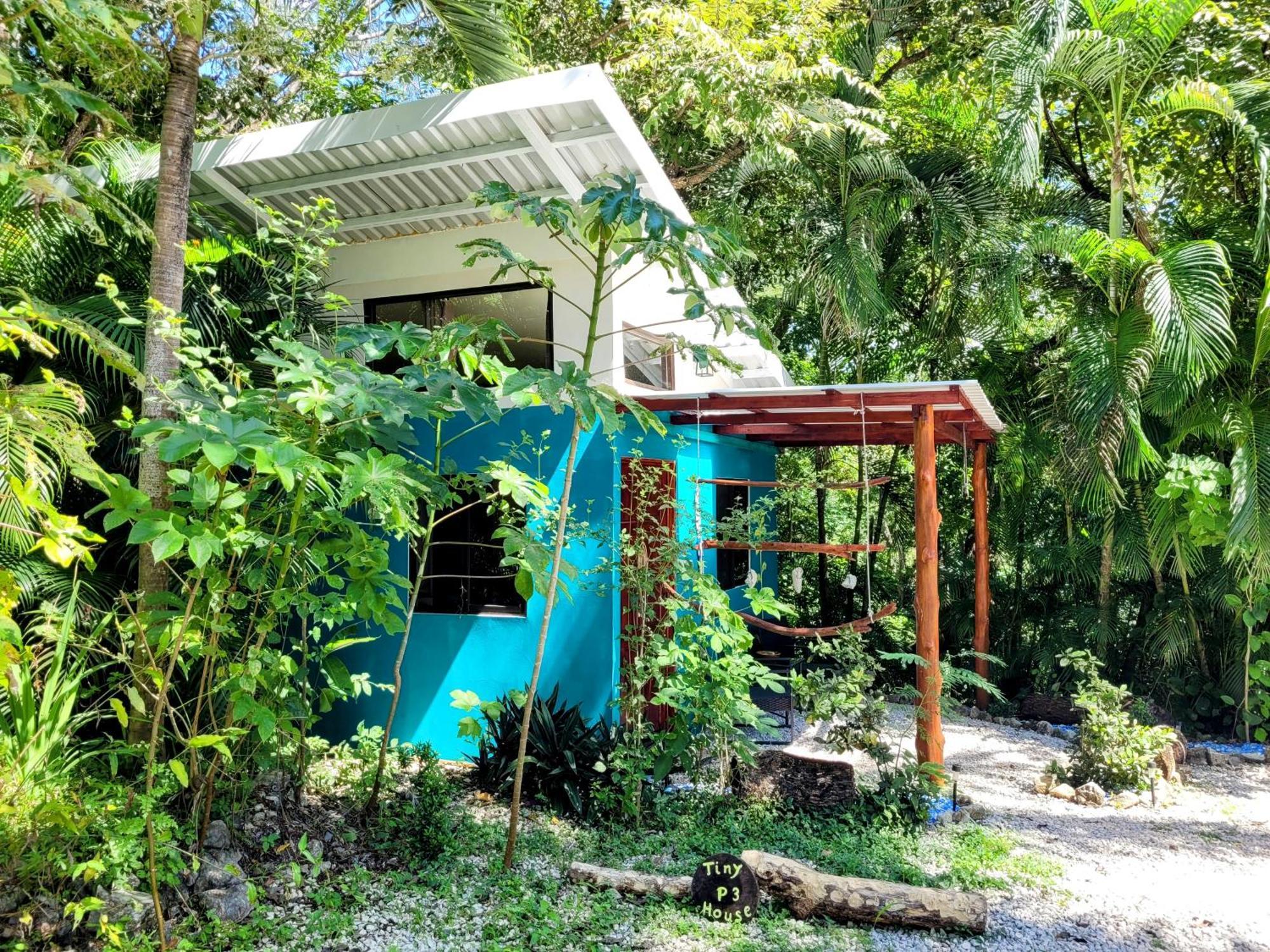 Villa Martina Palmgarden Sámara Quarto foto